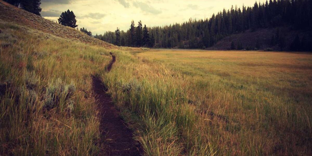 CAC Reader Error Codes: What Each Light Pattern Means